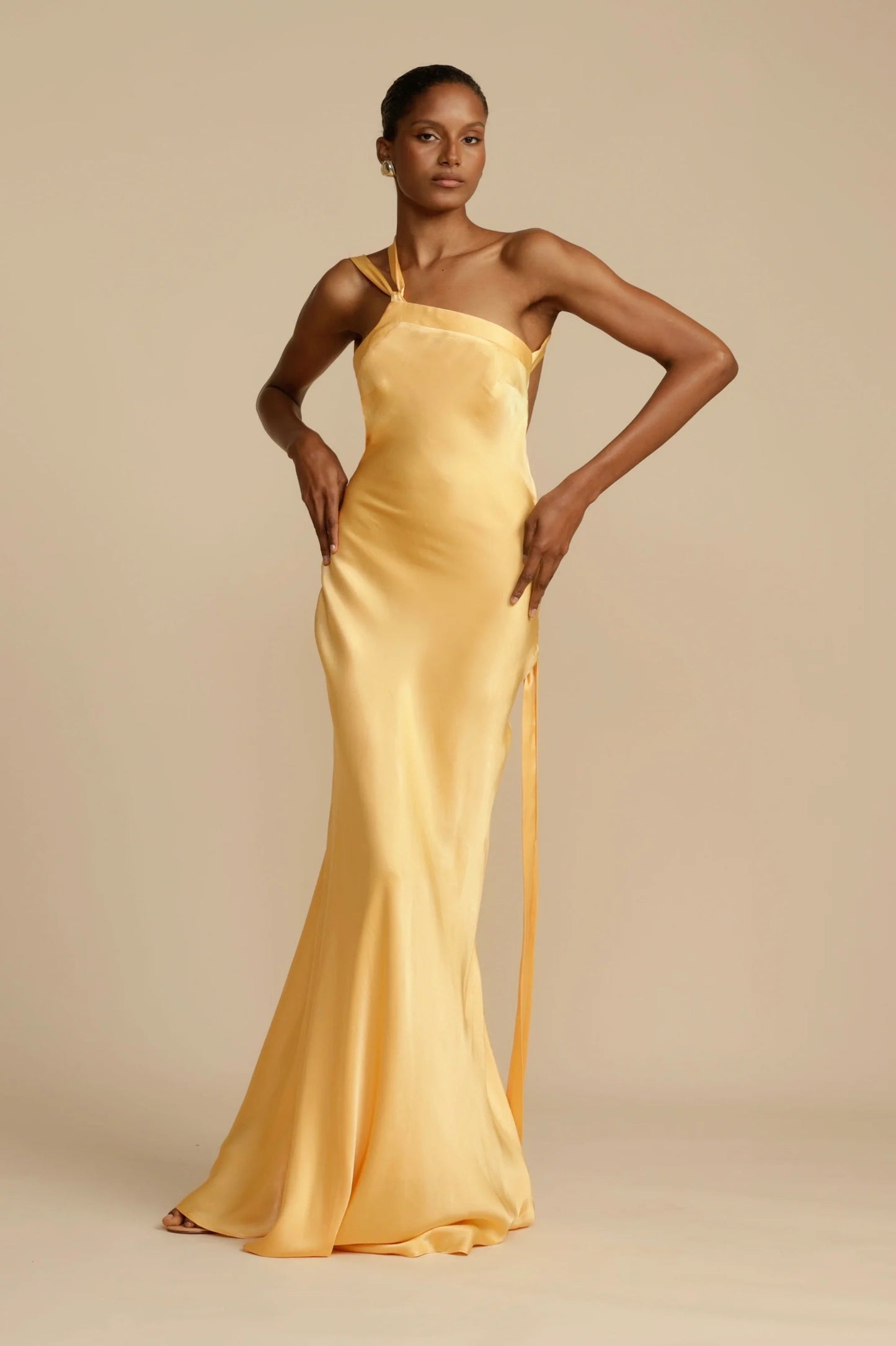 Arcina Ori Monique Dress