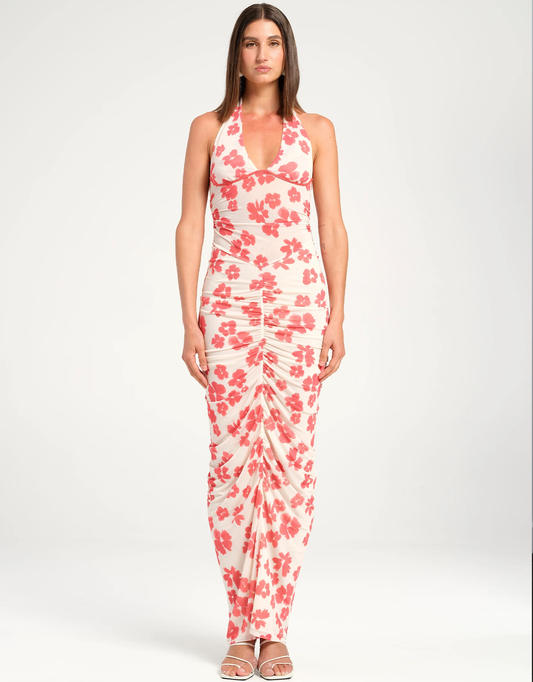 Benni Pierre Maxi Dress Blushwood